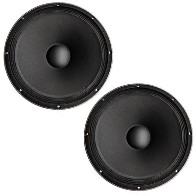 selenium 15 inch speakers
