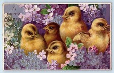 1910 Easter Little Chicks Flowers Embossed Plainville Connecticut CT Postcard