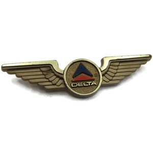 Delta Airlines Pilot | eBay