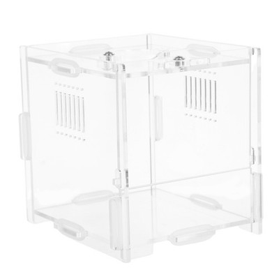 Reptile Cases Spider Feeding Terrarium Box Jumping Enclosure Kit