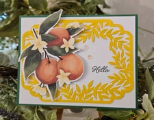 STAMPIN UP CARD KIT- PEACHES HELLO  Makes 4-Set #25.412