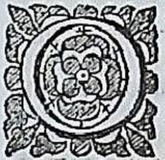 Bild 6 von 8