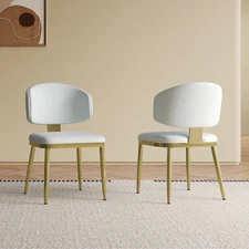 Dining Chairs Set of 2, Modern Design Home Chairs, PU Leather Metal