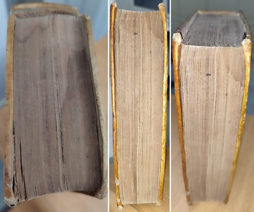 Ludovico Muratori RIFLESSIONI SOPRA BUON GUSTO nelle SCIENZE e ARTI. Napoli 1755 - Imagen 6 de 24