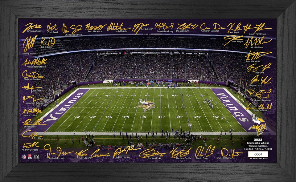 BDA Minnesota Vikings Highland Mint NFL Stadion Bild 23 mit Unterschriften