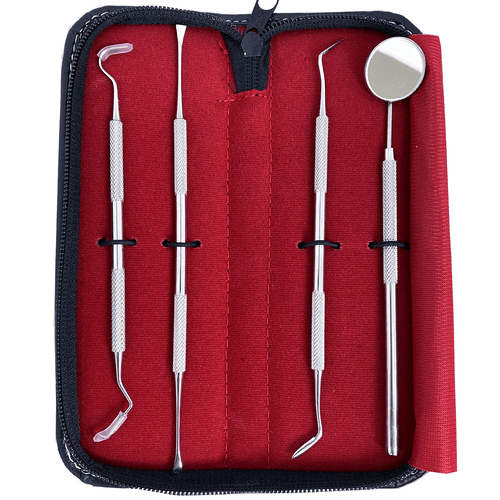 Kit de limpieza dental removedor de placa de hilo dental herramienta de cuidado dental 5 piezas - Imagen 4 de 8