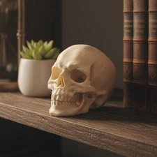3.5" Human Skull 3D Printed Beige Bone Color