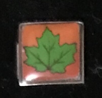 Leaf WHOLESALE ITALIAN CHARM Enamel Link 9MM K2022BG12 Rare