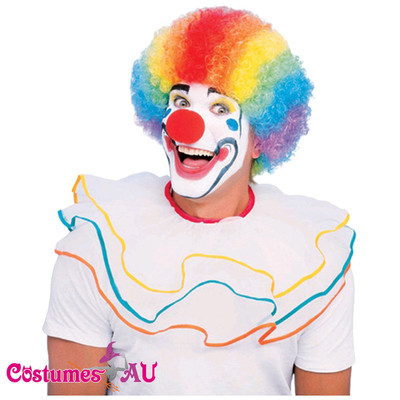 Ladies Mens Multi Coloured Rainbow Circus Afro Clown Fancy