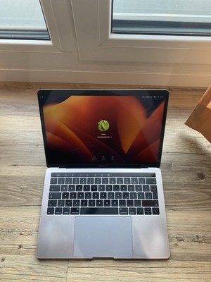 MacBook Pro 13  (2017)   | 256GB | Kratzfrei