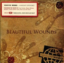 Springhill worship Beautiful Wounds (CD) (UK IMPORT)