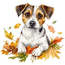 2 adesivi Jack Russell Terrier adesivi auto 9 x 9 cm cane JRT cucciolo set