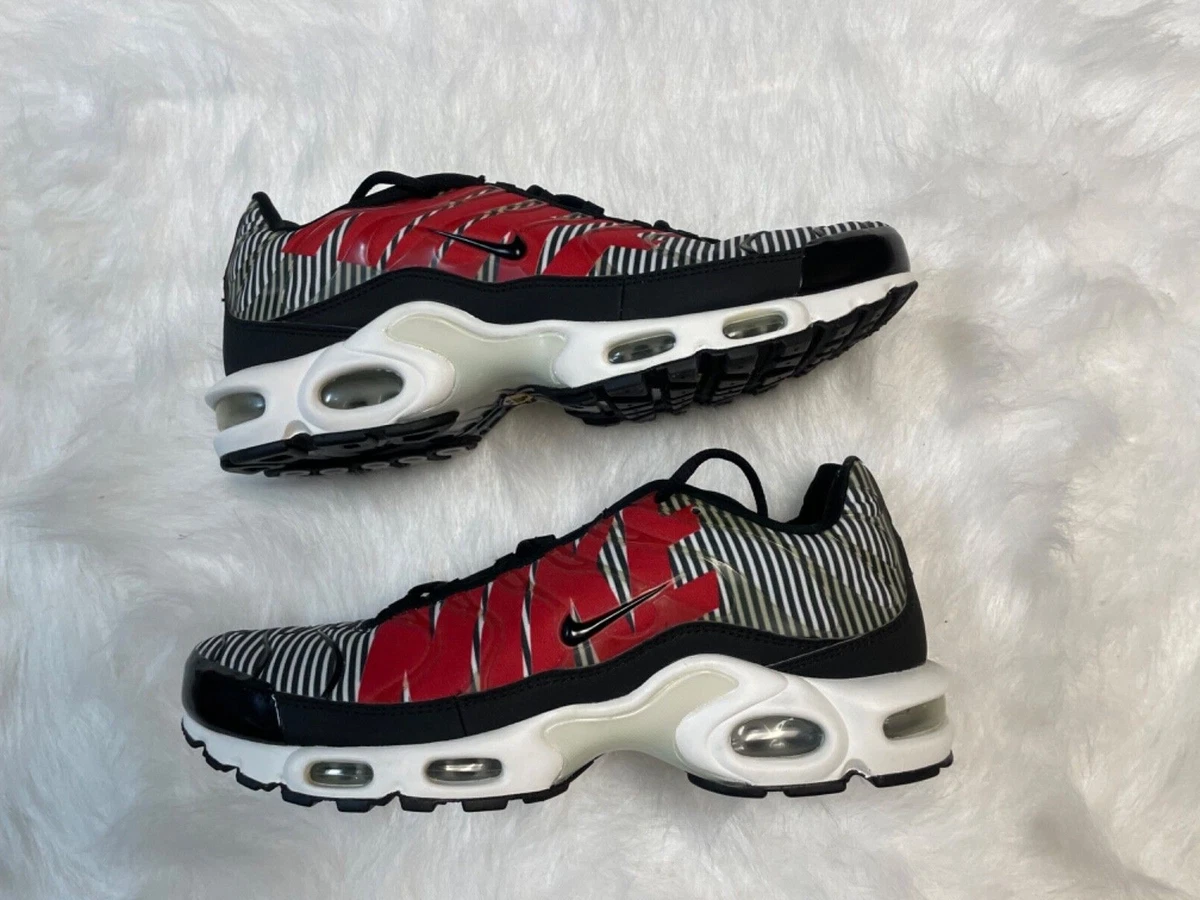 Nike Air Max Plus TN SE Big Logo Black Zebra Striped AT0040-001 Men 11.5 Nike Air Max Plus Premium Men main image 2
