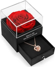 Preserved Real Rose with I Love You Necklace in 100 Language Valentines Day Gift