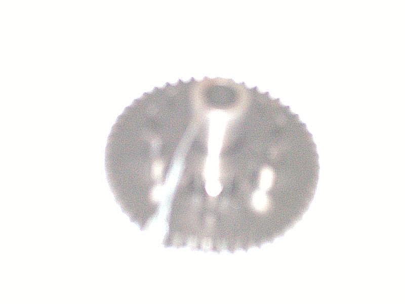 KAWASAKI ZX600 STARTER IDLER GEAR & PIN 59051-1232 | eBay