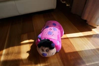 Lady Bug Dream Lite Pillow Pet Toy Nightlight Toys Indoor