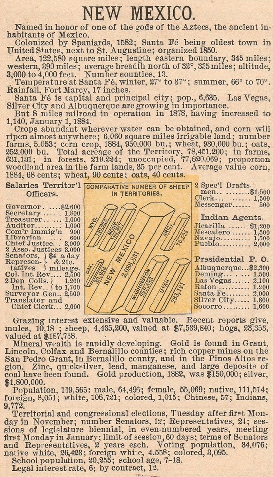 Framed Original 1889 Antique Map NEW MEXICO Albuquerque Las Vegas Lunas