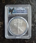 2010 1 oz American Silver Eagle PCGS MS69 - .999 silver