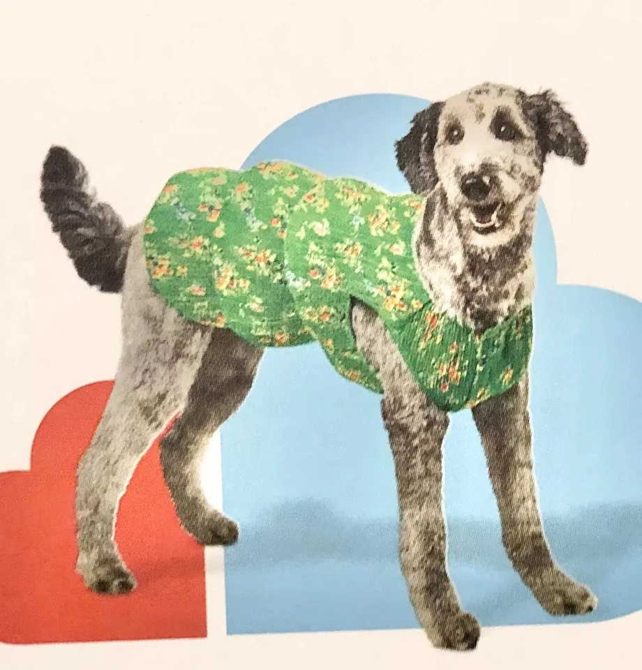 Vestido para perro talla grande floral verde de Boots & Barkley Foto 2 de 4
