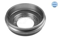 Meyle 716 060 0013 Stange/Strebe, Stabilisator FüR Ford