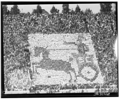 Stadium-goers making a picture of a Trojan horse using posterboard - Old Photo