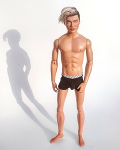 anatomically correct barbie and ken