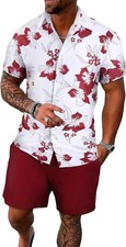 GORGLITTER Men's Vacation Beach Cruise Summer Outfits 2 Piece Shorts Set Hawaiia