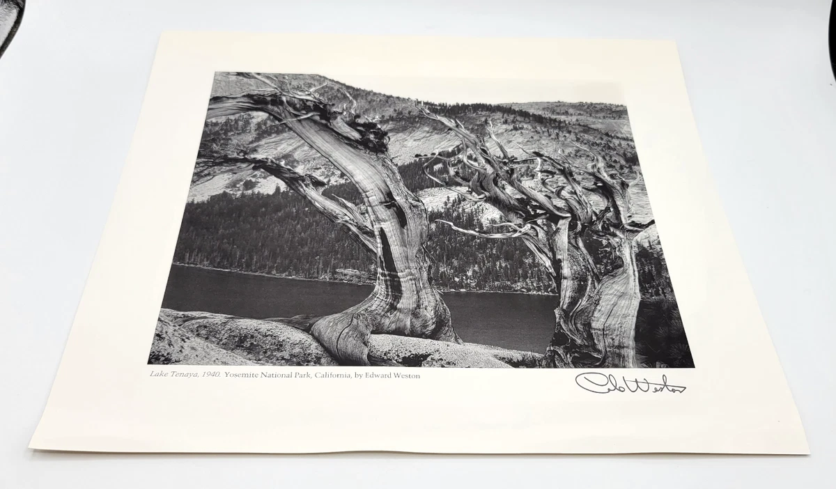 Edward Weston Art Prints for sale | eBay