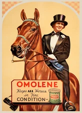 Lady Horse Dressage Eat Omolene for Fine Condition Vintage Poster Repro FREE S/H