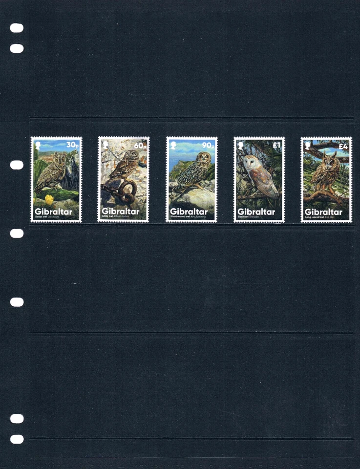 $17.50 Scott Value - 2020 GIBRALTAR Owls Birds of Prey Europe CV MNH NH UMM - Image 2 of 4