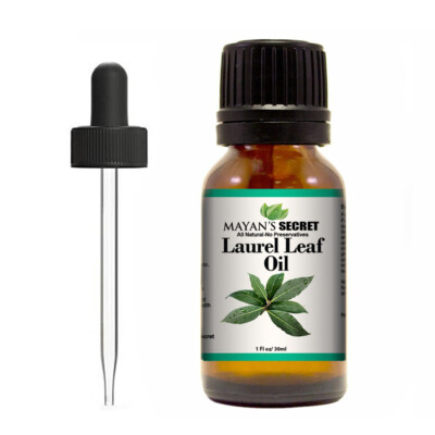 Mayans Secret Laurel Leaf Oil Bay Laurel  Bay Leaf tree oil