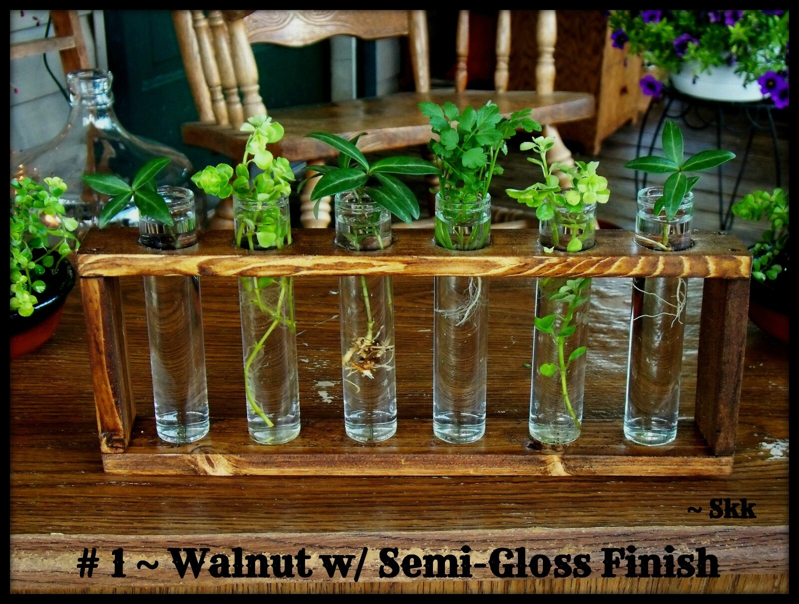 Handmade Rustic 6 Glass TUBE Plant Propagation Starter Station System