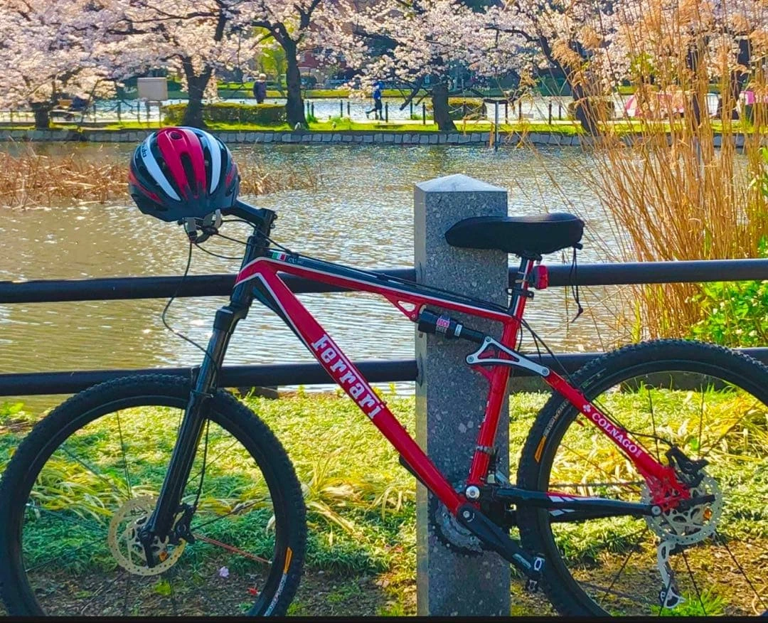 Colnago Ferrari In Bikes for sale - eBay