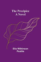 Elia Wilkinson Peattie | The Precipice | Taschenbuch | Englisch (2024) | A Novel