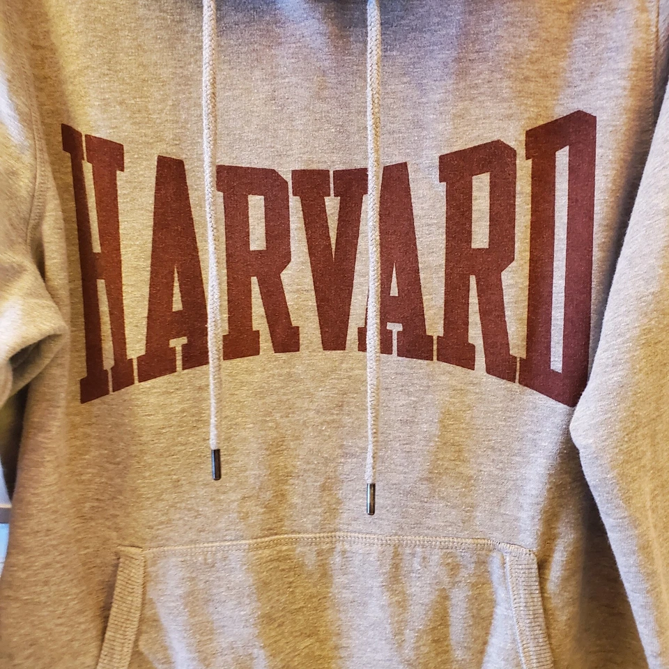 Harvard University H&M LOGG 连帽套衫运动衫灰色女式大号 — 第 3/4 张图片