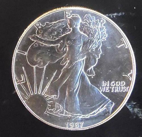 1987 American Eagle Toned Walking Liberty Bullion Vtg-0.999 Silver 1 Oz Coin 1t