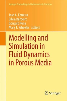 José A. Ferreira (u. a.) | Modelling and Simulation in Fluid Dynamics in...