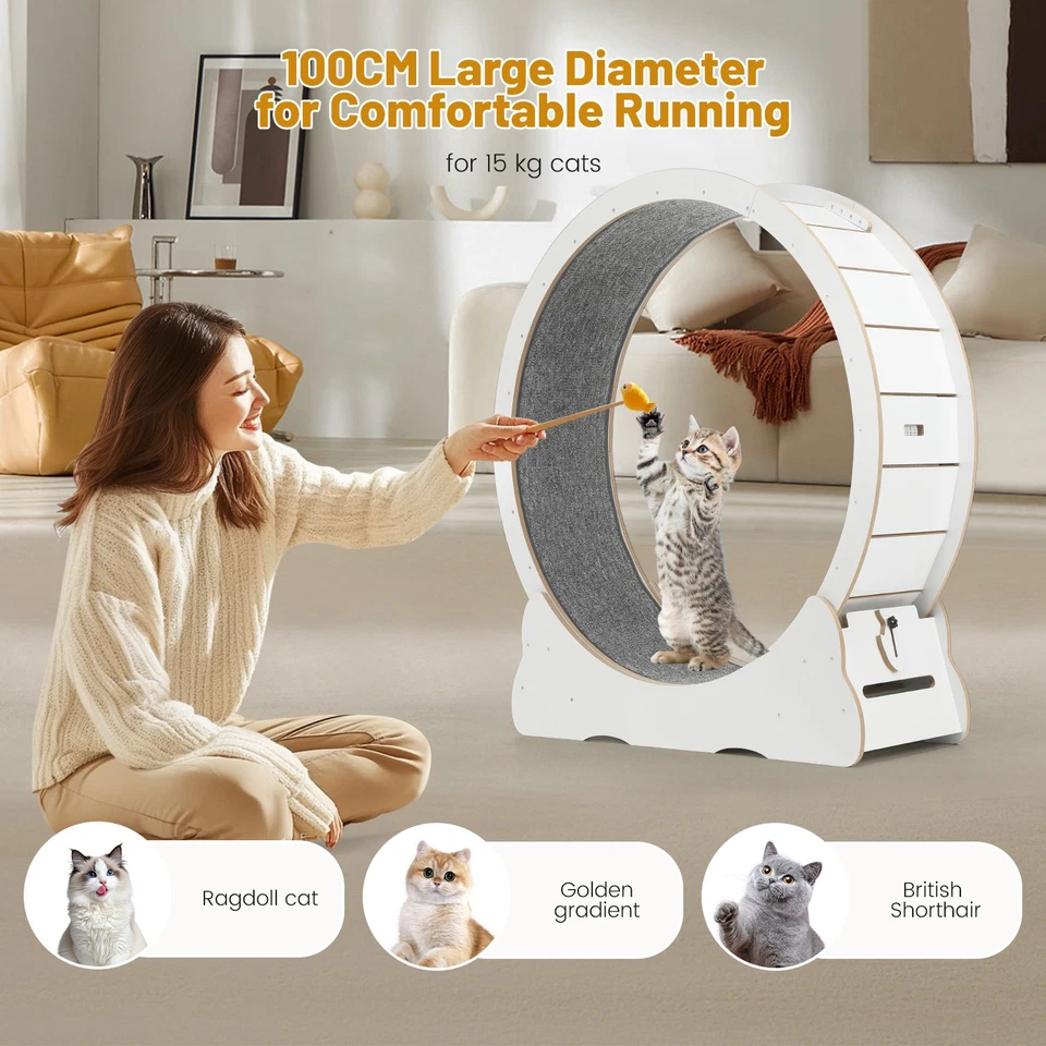 Wooden Cat Exercise Wheel 52" Large Cat Treadmill Wheel for Indoor Cats White - Image 3 of 4
