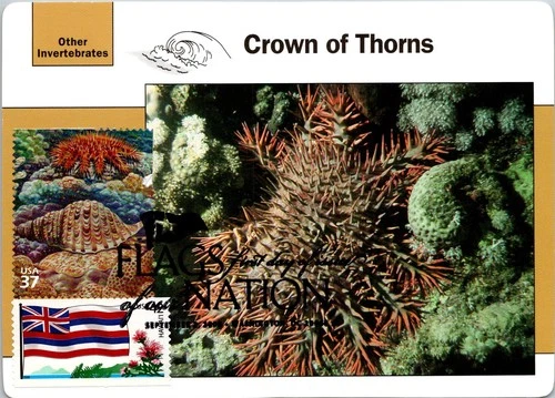 Dr Jim Stamps Maximum Card Pacific Coral Reef 37C Hawaiian Flag Combo Fdc