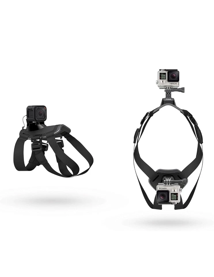GoPro Zubeh�r Fetch Hundegeschirr - geeignet f�r HERO4/HERO3+/HERO3/HD HERO2 - Image 2 of 3