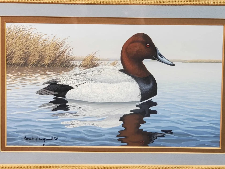 Ronald J. Louque Gouache Pintura Lienzo Trasero Drake Pato Sello Ganador Foto 3 de 4