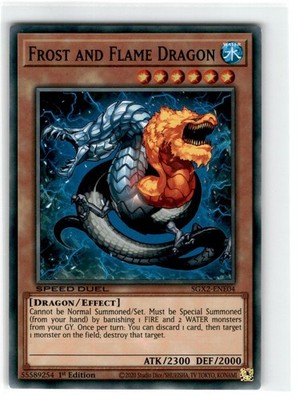 Yu-Gi-Oh! Speed Duel Frost and Flame Dragon 1st Edition SGX2-ENE04 Moderately