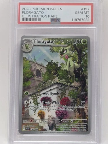 Pokémon TCG Floragato 197/193 Paldea Evolved Illustration Rare PSA 10