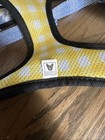 EUC Frenchie Blue Daisy Flower Reversible Yellow Check Harness Dog Vest Large — photo 5