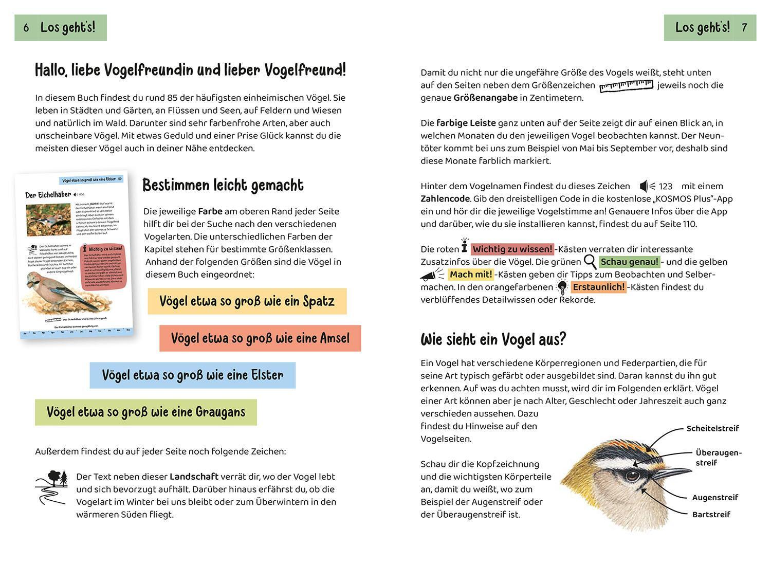 Thumbnail - Holger Haag Was Fliegt Denn Da? Kindernaturführer 9783440172445