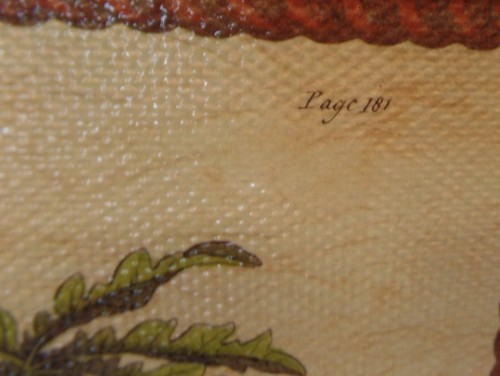Made On Earth Item 4923 Palm 1 Canvas & Wood W Serial # 14" X 18" - Picture 5 of 9