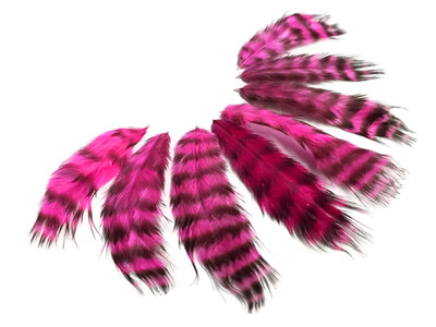 Pink /& Black Rooster Chickabou Fluff Feathers 1 Dozen USA SELLER