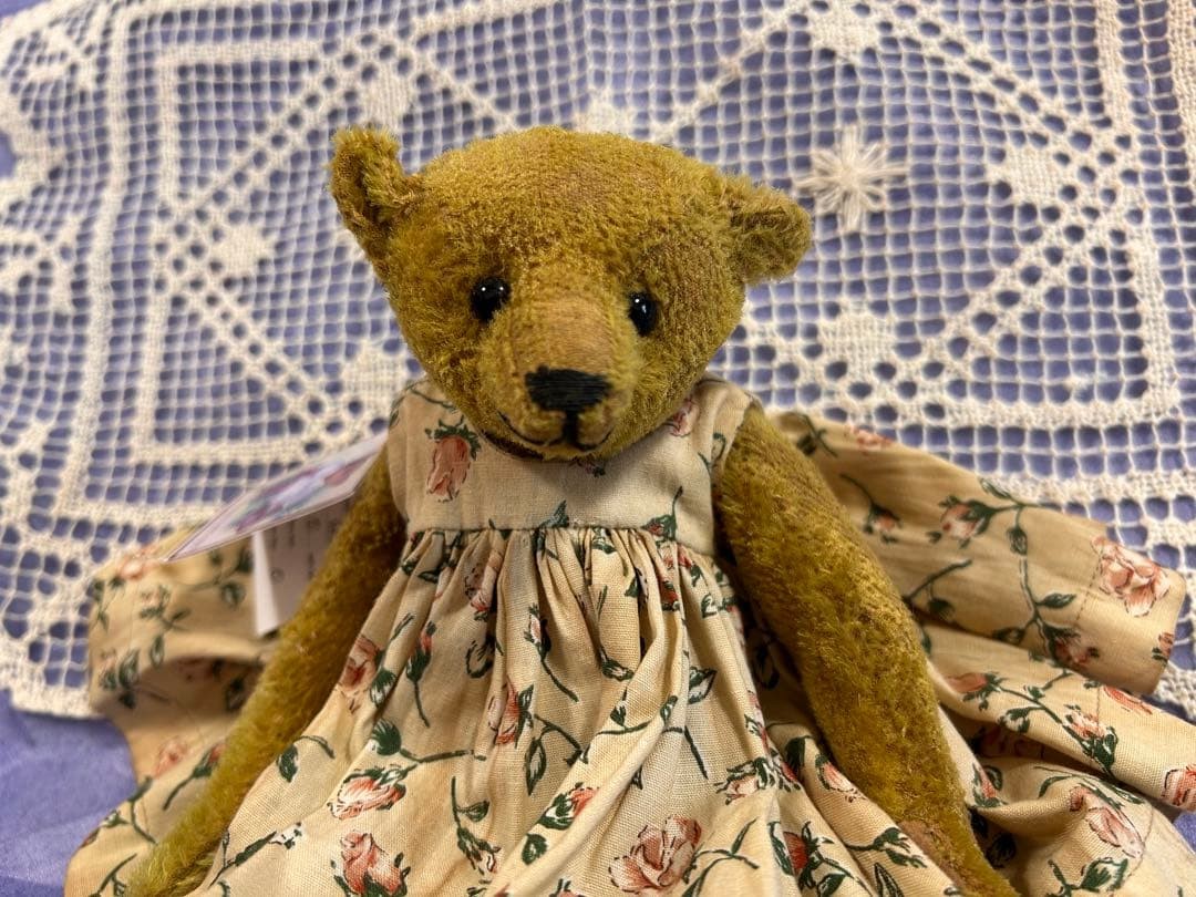 Forget Me Not Bear Mary H22cm Teddy Bear Plush Stuffed 2004 Used