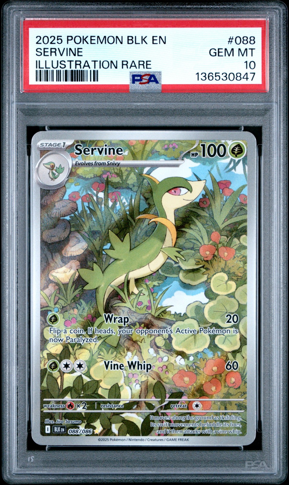 2025 Pokemon Blk En-Black Bolt #088 Servine Illustration Rare PSA 10