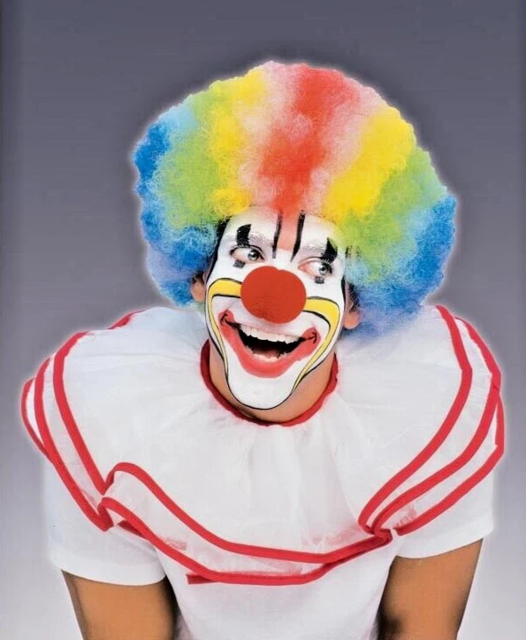 Halloween, Mardi Gras Payaso Peluca Foro Novedades Adulto Arco Iris Disfraz de Lujo-NUEVO Foto 3 de 4